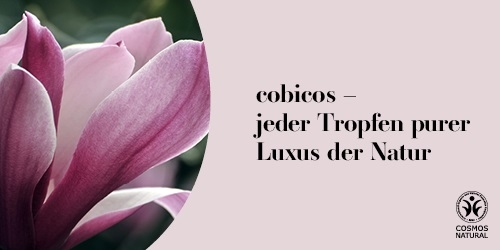 cobicos-banner_regionalretter-500x250